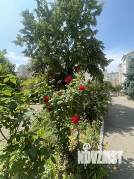 2-к квартира, на длительный срок, 50м2, 4/5 этаж