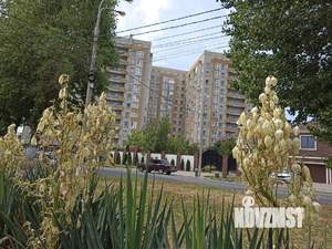 1-к квартира, на длительный срок, 45м2, 11/12 этаж