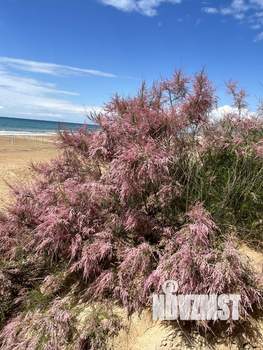 2-к квартира, посуточно, 37м2, 5/16 этаж