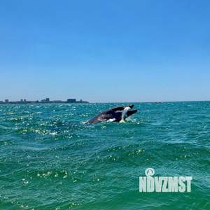 2-к квартира, посуточно, 37м2, 5/16 этаж