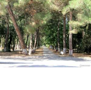 Студия квартира, на длительный срок, 36м2, 6/7 этаж