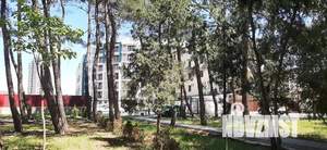 1-к квартира, посуточно, 36м2, 3/7 этаж