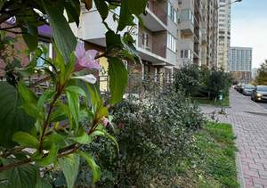 1-к квартира, вторичка, 41м2, 9/12 этаж