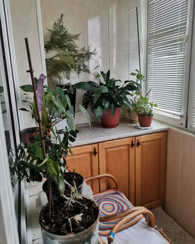 2-к квартира, вторичка, 70м2, 5/7 этаж