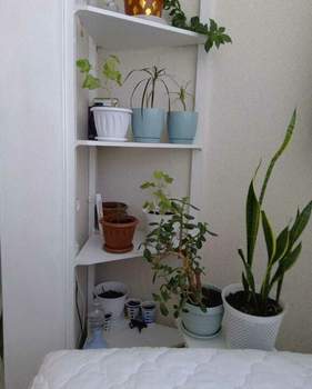 Студия квартира, вторичка, 31м2, 1/8 этаж