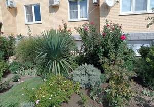 Студия квартира, вторичка, 20м2, 1/16 этаж