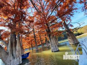 1-к квартира, вторичка, 36м2, 6/8 этаж