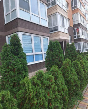 Студия квартира, вторичка, 33м2, 2/7 этаж