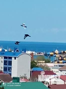 1-к квартира, вторичка, 37м2, 8/9 этаж