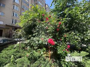 1-к квартира, вторичка, 50м2, 6/6 этаж