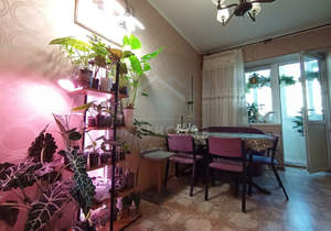 3-к квартира, вторичка, 90м2, 2/5 этаж