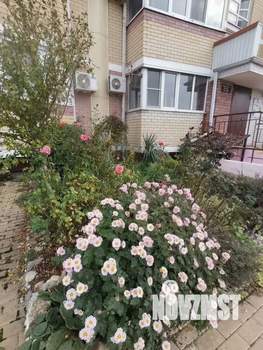 1-к квартира, вторичка, 45м2, 3/7 этаж