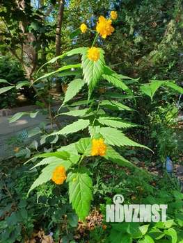 3-к квартира, вторичка, 60м2, 3/5 этаж