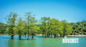 1-к квартира, вторичка, 33м2, 3/5 этаж