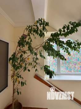 Студия квартира, вторичка, 14м2, 4/4 этаж