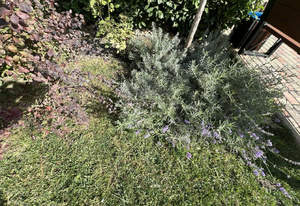 Студия квартира, вторичка, 25м2, 1/14 этаж