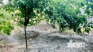 2-к квартира, вторичка, 48м2, 1/1 этаж