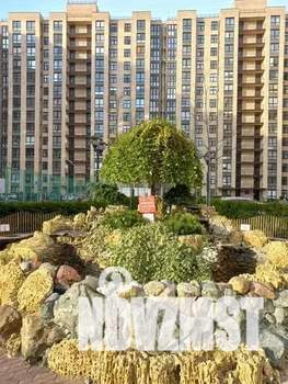 1-к квартира, вторичка, 47м2, 7/14 этаж