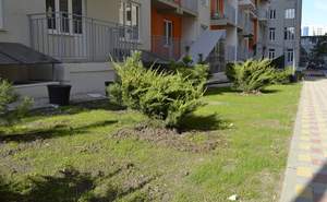 Студия квартира, вторичка, 35м2, 1/14 этаж