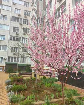 2-к квартира, вторичка, 60м2, 4/10 этаж