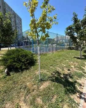 Студия квартира, вторичка, 34м2, 1/5 этаж