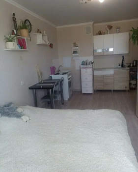 Студия квартира, вторичка, 25м2, 10/16 этаж