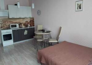 Студия квартира, вторичка, 26м2, 9/9 этаж