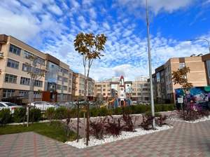 Студия квартира, вторичка, 30м2, 1/4 этаж