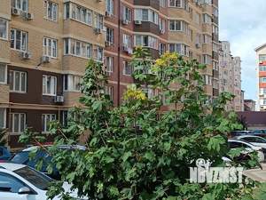 1-к квартира, вторичка, 45м2, 9/14 этаж