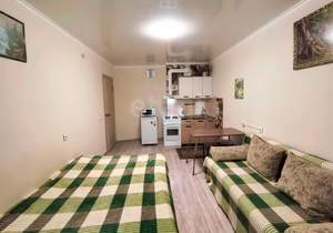 Студия квартира, вторичка, 24м2, 16/17 этаж