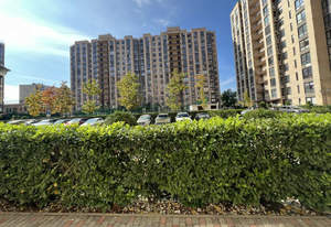 Студия квартира, вторичка, 25м2, 1/14 этаж