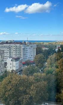 1-к квартира, вторичка, 50м2, 12/12 этаж