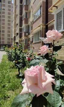 1-к квартира, вторичка, 40м2, 4/13 этаж