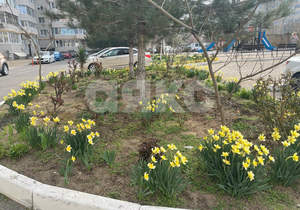 2-к квартира, вторичка, 77м2, 8/9 этаж