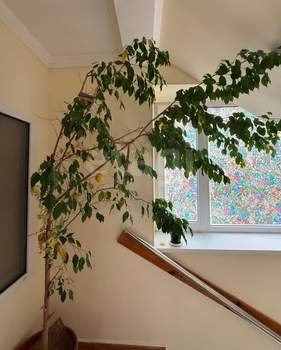 Студия квартира, вторичка, 14м2, 4/4 этаж