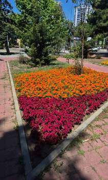 1-к квартира, вторичка, 29м2, 2/5 этаж