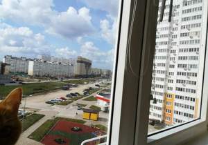 2-к квартира, вторичка, 67м2, 6/16 этаж