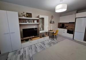 Студия квартира, вторичка, 24м2, 3/17 этаж