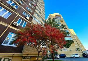 2-к квартира, вторичка, 31м2, 3/13 этаж