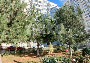 1-к квартира, вторичка, 48м2, 6/9 этаж