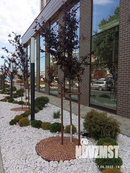 1-к квартира, вторичка, 49м2, 12/14 этаж