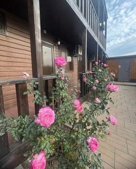 Студия квартира, вторичка, 20м2, 1/2 этаж