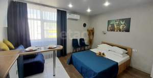 Студия квартира, вторичка, 24м2, 7/7 этаж