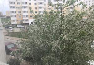 1-к квартира, вторичка, 40м2, 2/9 этаж
